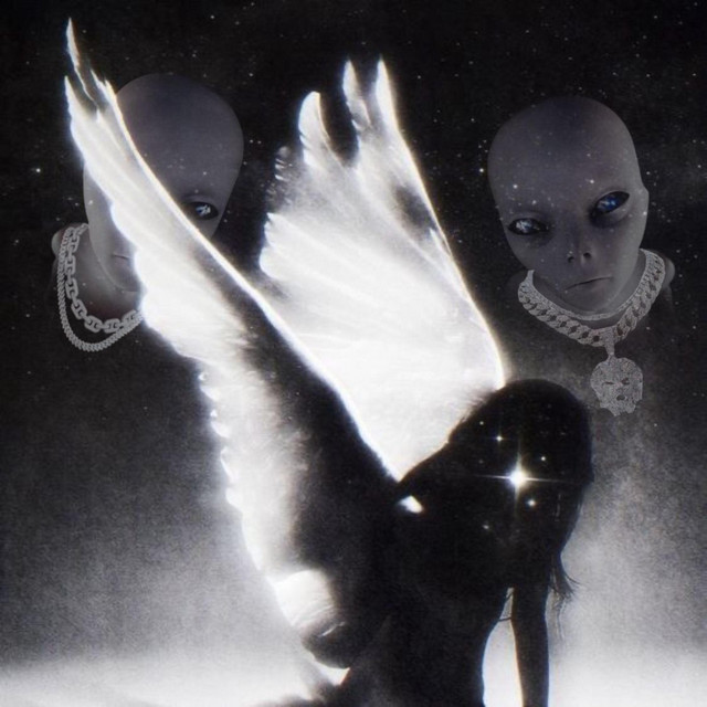 WHITE RABBIT cover art