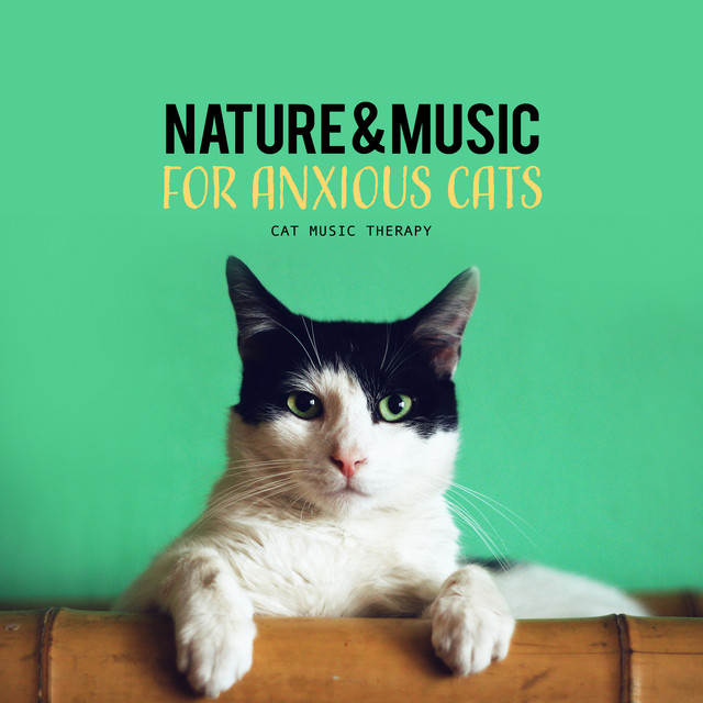 Nature & Music for Anxious Cats - Album by Cat Music Therapy | Spotify