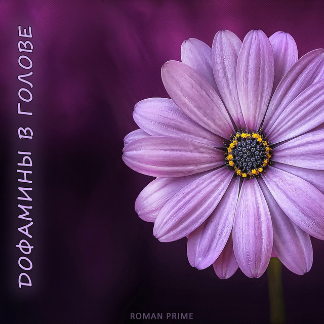 Обкладинка: Дофамины в голове — Roman Prime