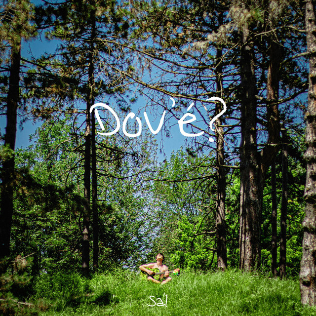 Dov'é? cover art