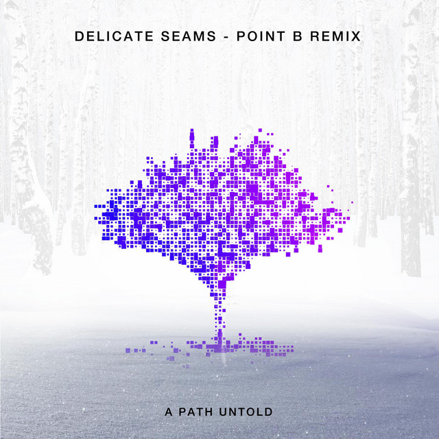 Delicate Seams (Point B Remix) cover