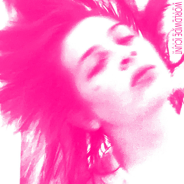 WORLDWIDE ICUNT cover art