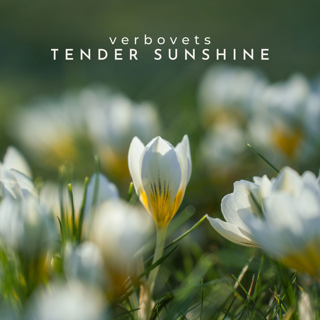 Обкладинка: Tender Sunshine — Verbovets