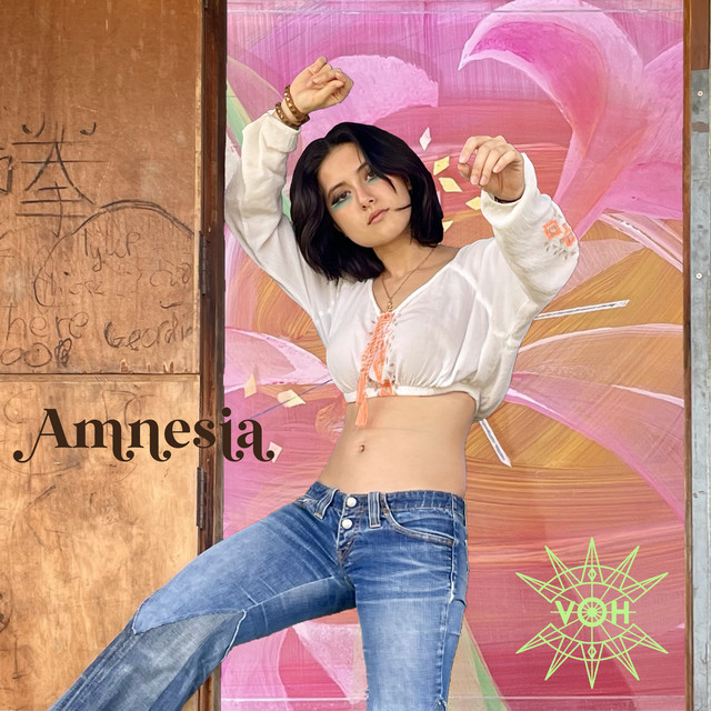 Amnesia cover