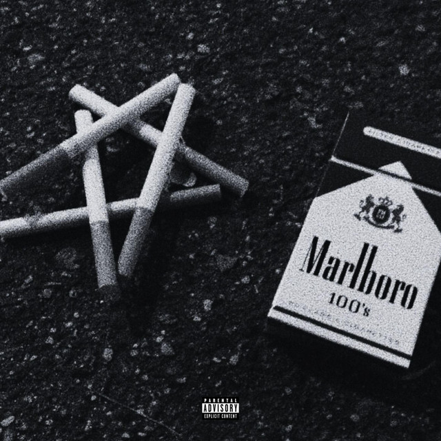 nikdy nebude fajn cover art