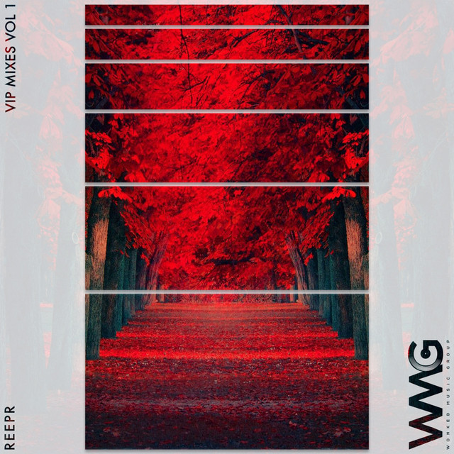 VIP Mixes, Vol. 1 cover art