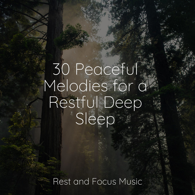 30 Peaceful Melodies for a Restful Deep Sleep - Album by Instrumental ...