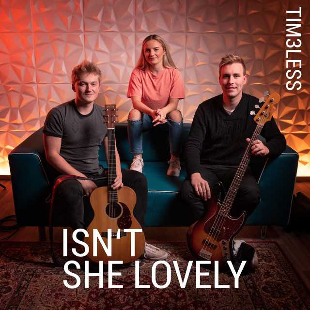 Isn't She Lovely - Single by TIM3LESS | Spotify