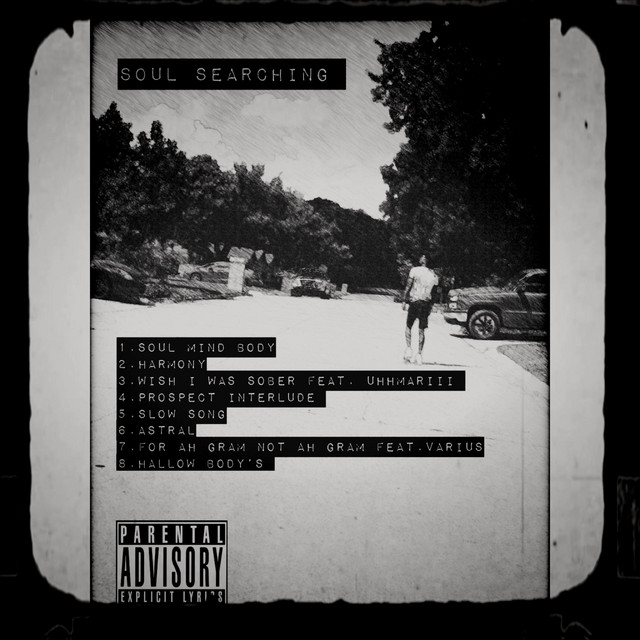 Soul Searching cover art
