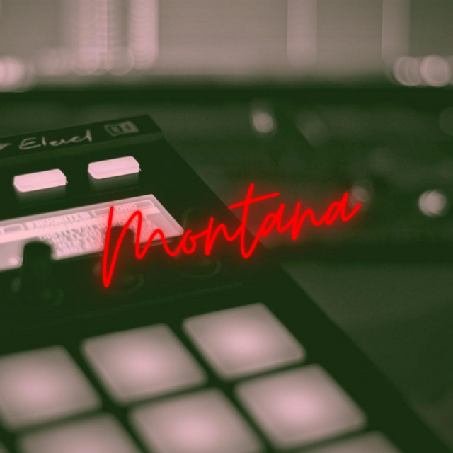 Montana cover art