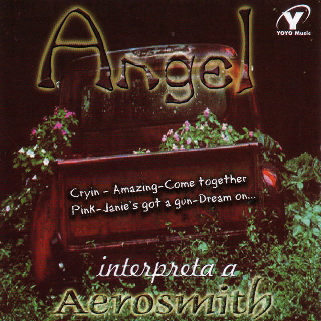 Interpreta A Aerosmith cover art