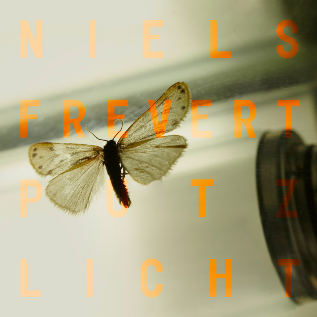 Putzlicht cover
