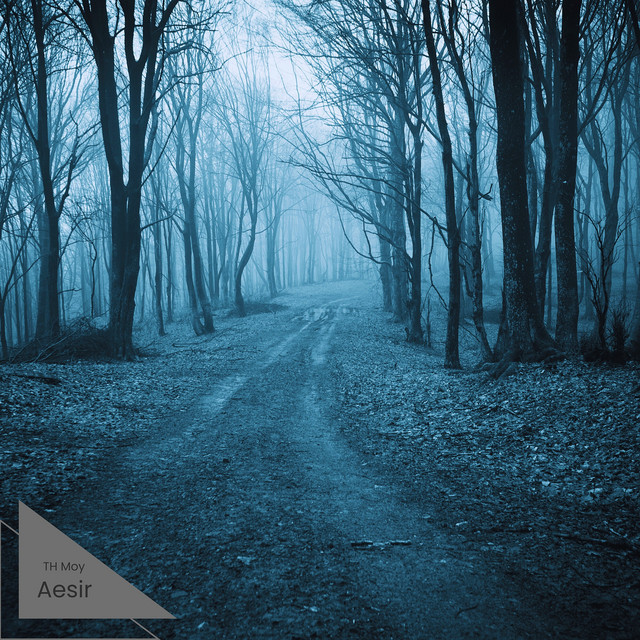 Aesir cover