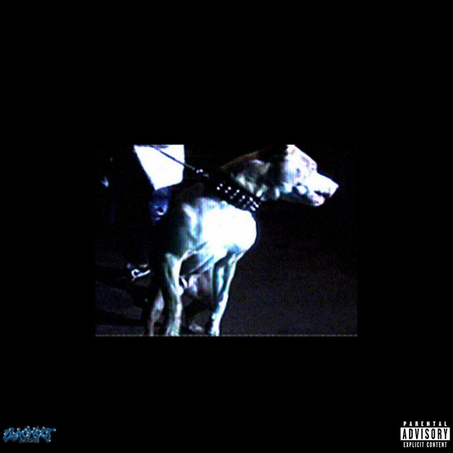 SİS cover art