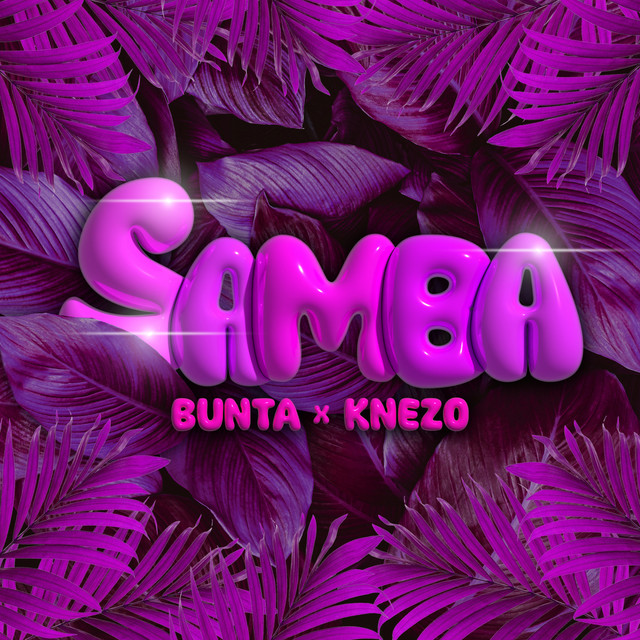 Samba cover art