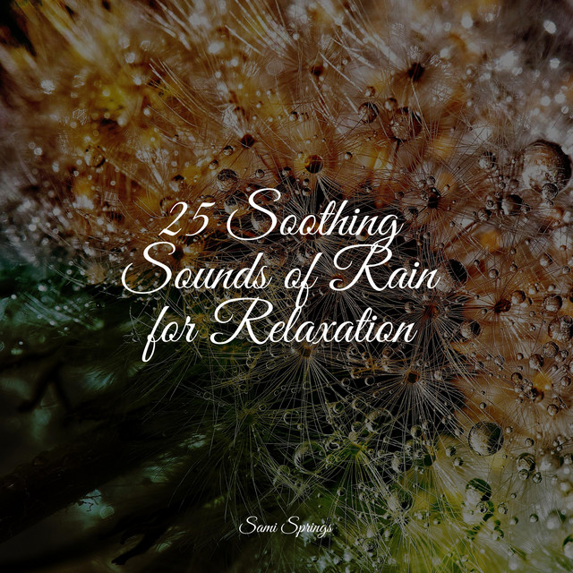 25 Soothing Sounds of Rain for Relaxation - Album by Meditation ...