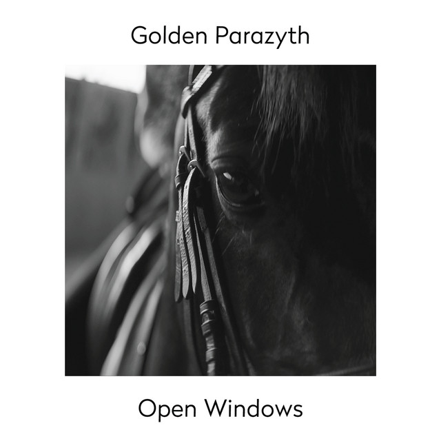 Open Windows cover art