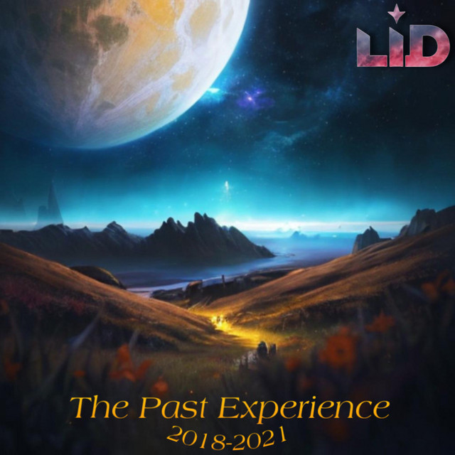 The Past Experience cover art