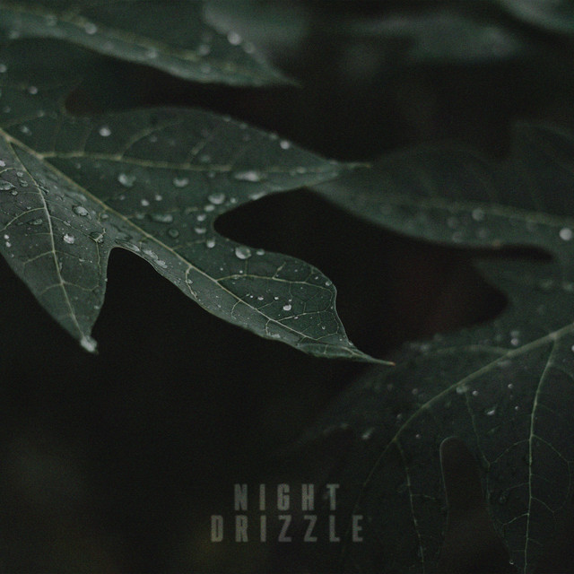 Night Drizzle by Zuni