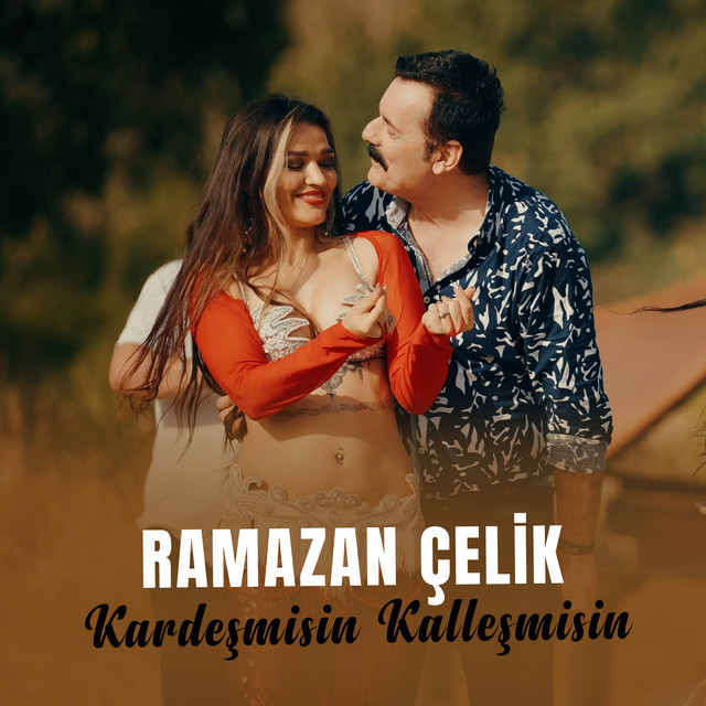 Kardeşmisin Kalleşmisin album image