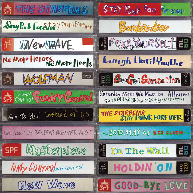 STAY PUNK FOREVER cover