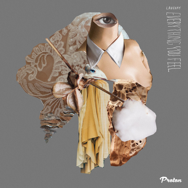 Late Bloom album art