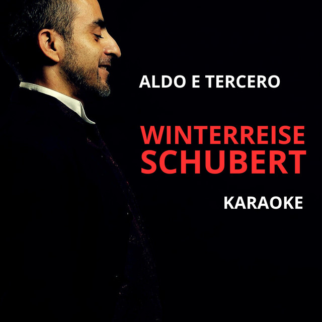 WINTERREISE SCHUBERT KARAOKE cover art