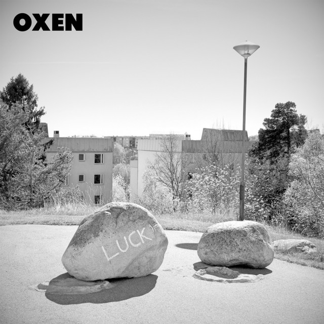 Luck cover art