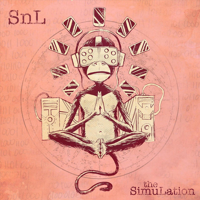 The Simulation cover art