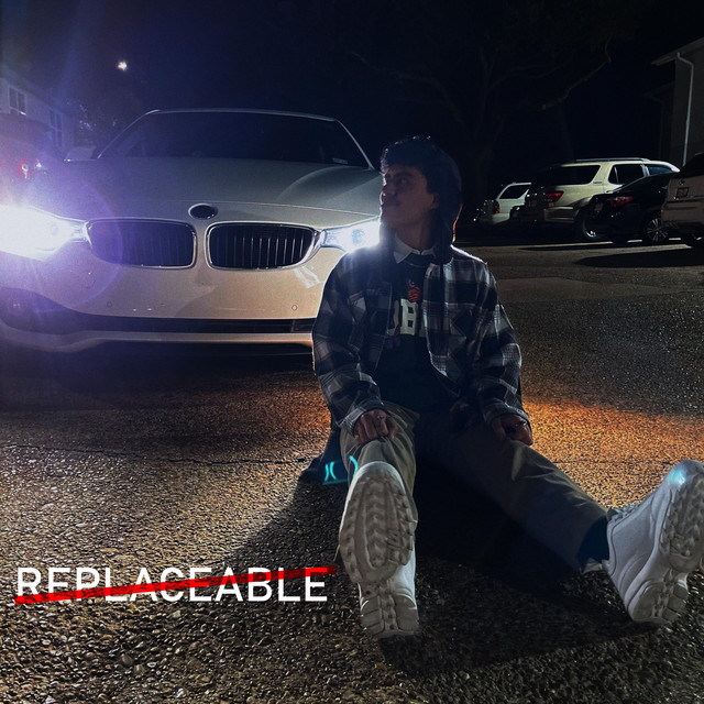 Replaceable cover art
