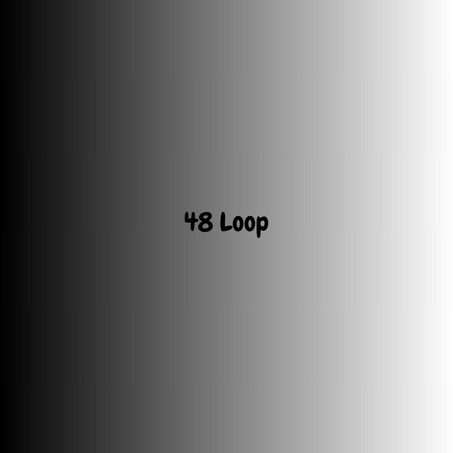 48 Loop cover art