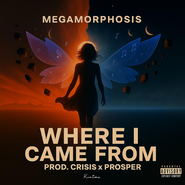 Where I Came From