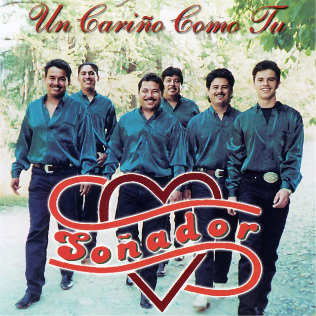 Un Cariño Como Tu cover art