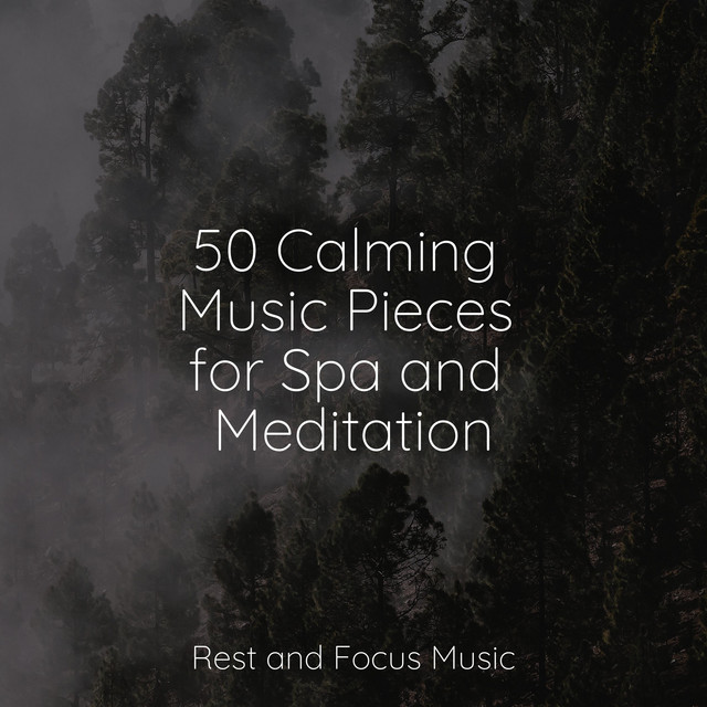 50 Calming Music Pieces for Spa and Meditation