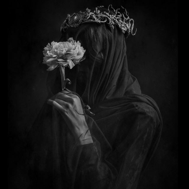Archive cover art