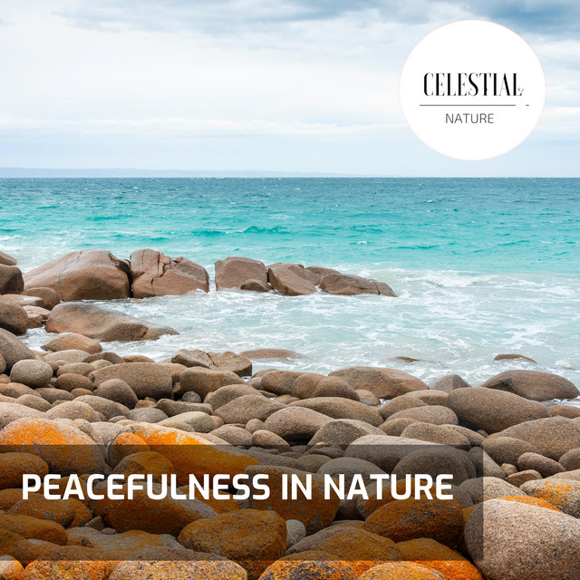 Peacefulness in Nature cover art