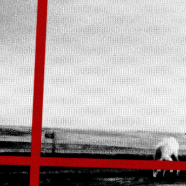 planned cover art