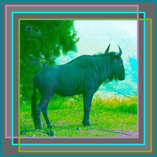 Anew cover art
