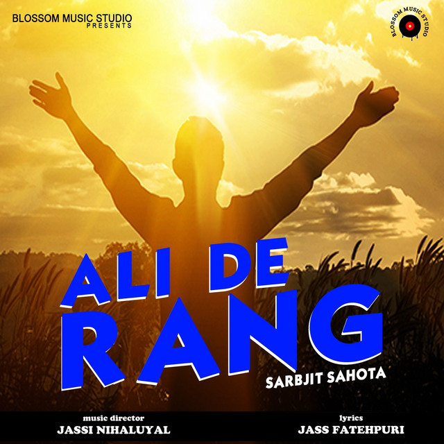 Ali De Rang - Single by Sarbjit Sahota | Spotify
