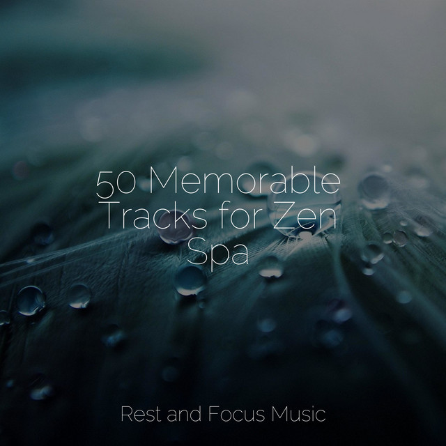 50 Memorable Tracks for Zen Spa - Album by Massagem | Spotify