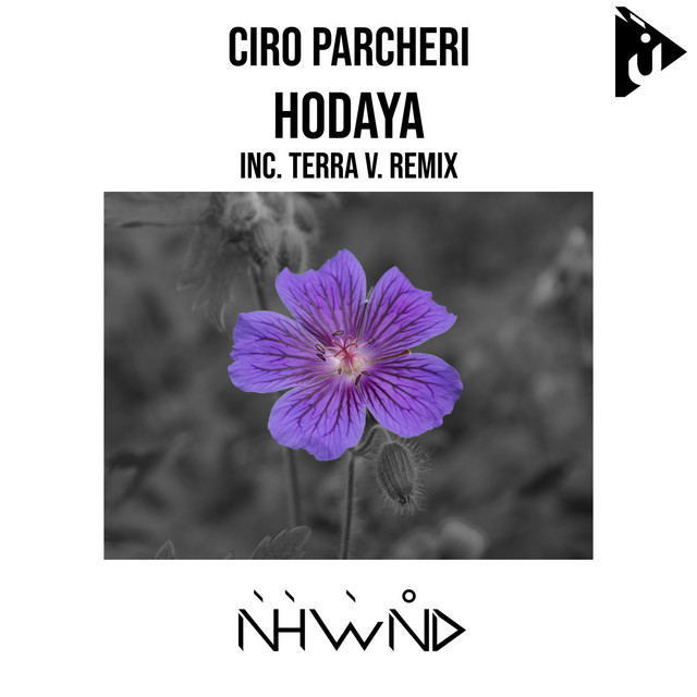 Hodaya - Terra V. Remix cover art