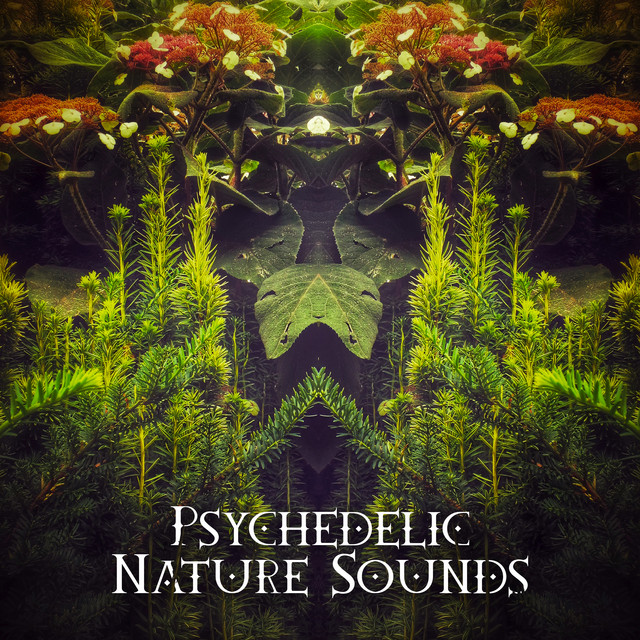 Psychedelic Elemental Harmony cover art