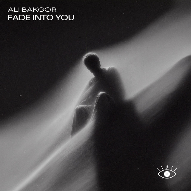 Обкладинка: Fade Into You — Ali Bakgor