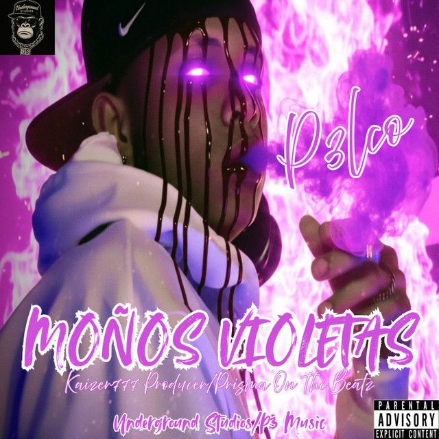 MOÑOS VIOLETAS