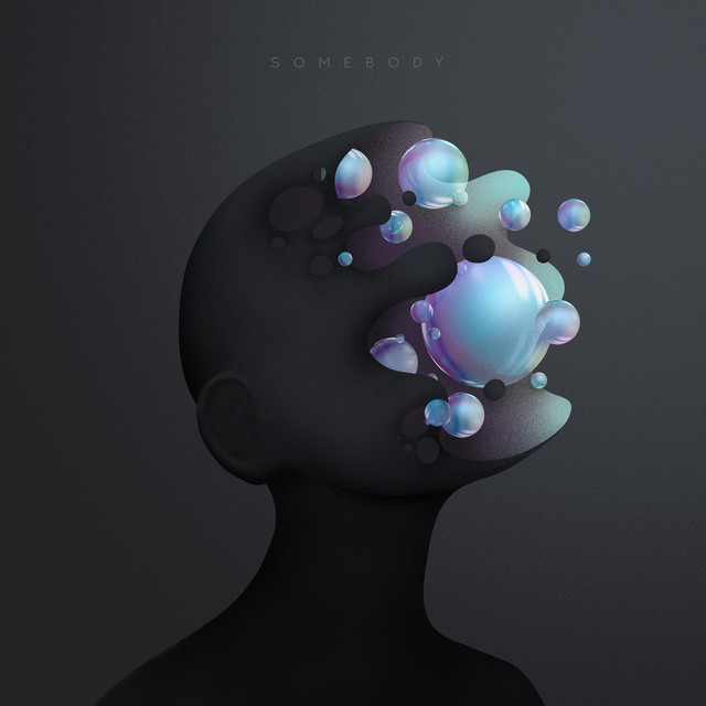 Somebody cover art