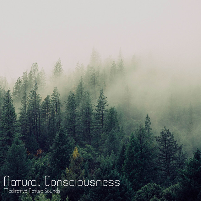 Natural Consciousness cover art