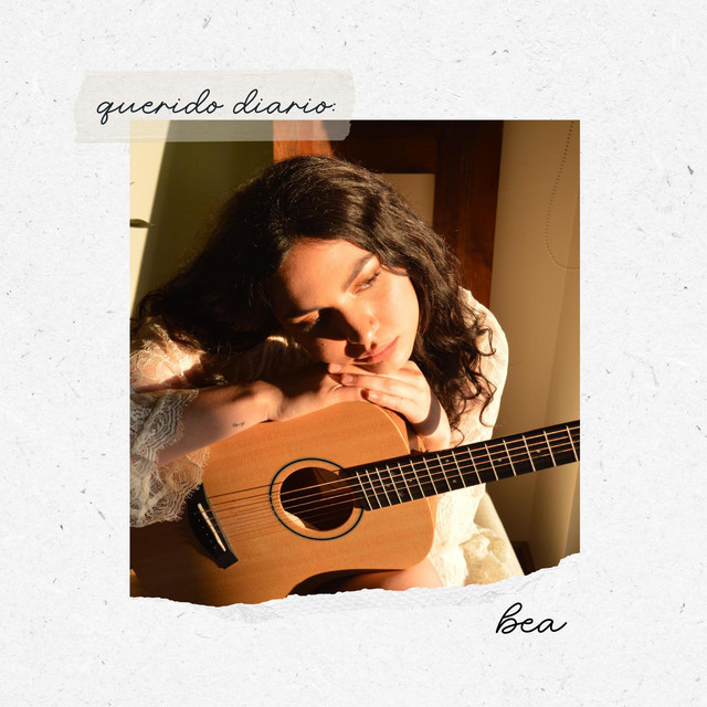 Querido Diario: cover art