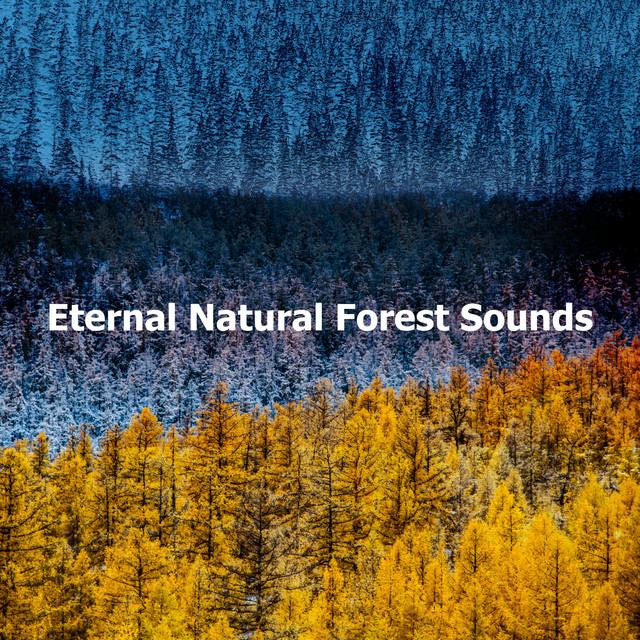 Eternal Natural Forest Sounds - Album by Natural Forest Sounds | Spotify