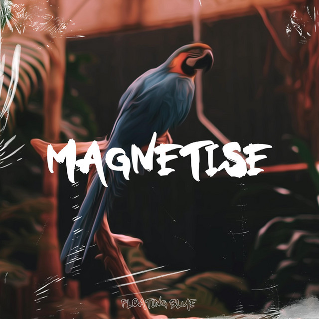 Magnetise