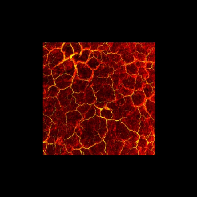 magma